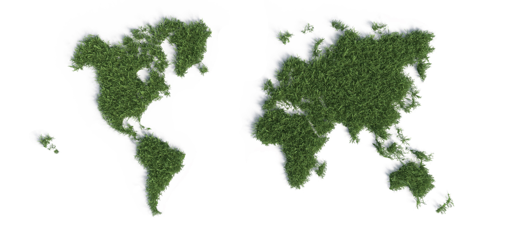 Grassy World Map